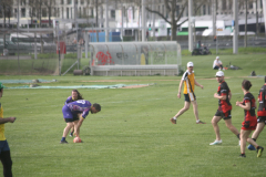 IMG_1936